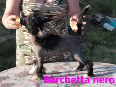 ��nsk� nah�� - �t��ata