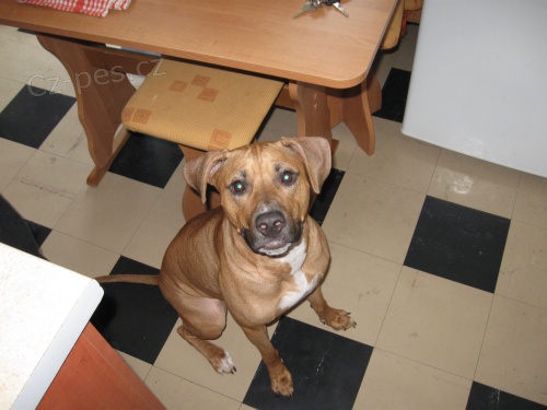 levně prodám levně prodám