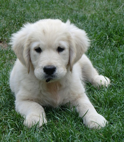 �t���tka s PP