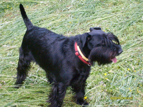 Prod�m - kr�sn� �t��ata s PP