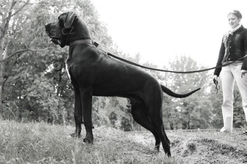 Pred�m ��eniatka s PP po v�stavn�ch rodi�och!