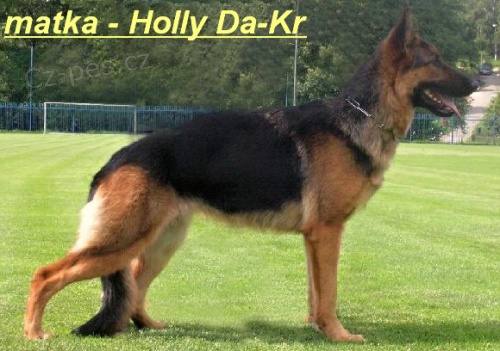 N�meck� ov��k - prod�m �t��ata