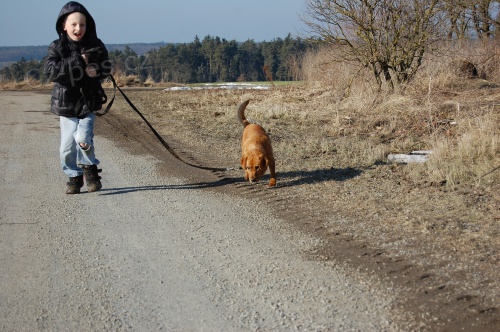 V�chova a v�cvik ps�