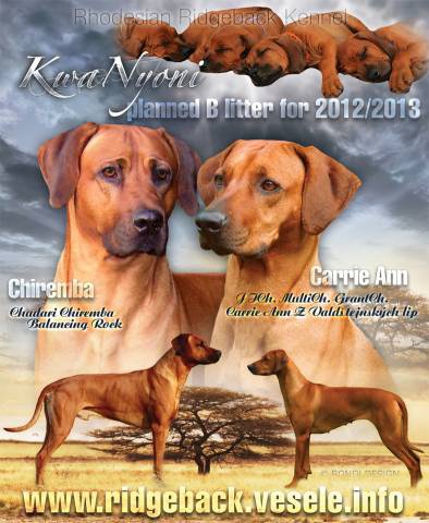 Rhodesian Ridgeback - vymazlen� �t���tka