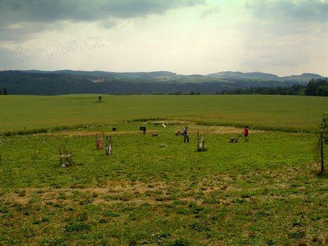 Pronajmu plochu na v�cvik ps�