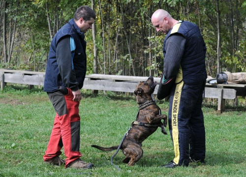 V�cvikov� v�kendy