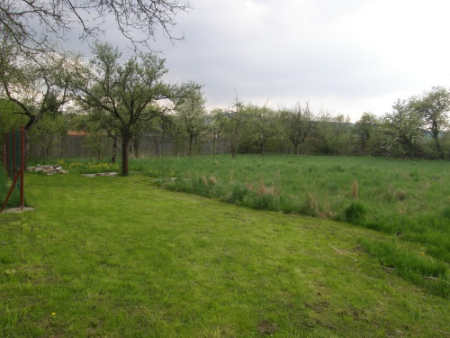 POSKYTNU DOMOV PSOVI - HL�DA�I