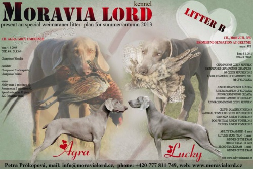 �t��ata v�marsk�ho oha�e 