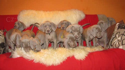 Zad�m V�marsk�ho Oha�e