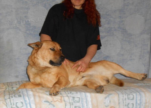 D�rkov� poukaz na kurz