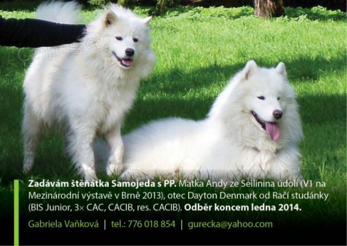 Prod�m �t���tka SAMOJEDA