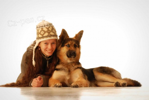 Pohl�d�m psa :-)