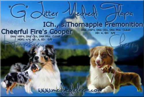 Australsk� ov��k �t��ata s PP