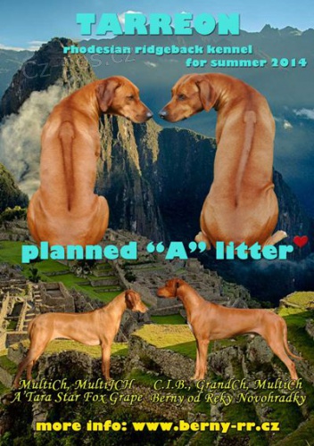 P�ij�m�me rezervace na �t���tka RR