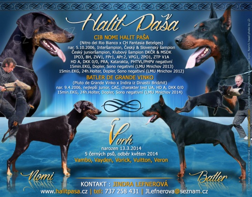 Dobrman �t��ata s PP vrh V prod�m