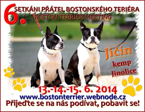 6. ro�n�k Setk�n� p��tel bostonsk�ho teri�ra Ji��n