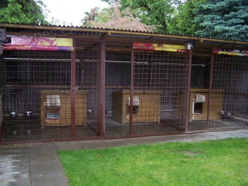 Kotce po psy + zateplen� boudy!