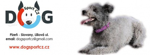 V�cvik ps� v Plzni