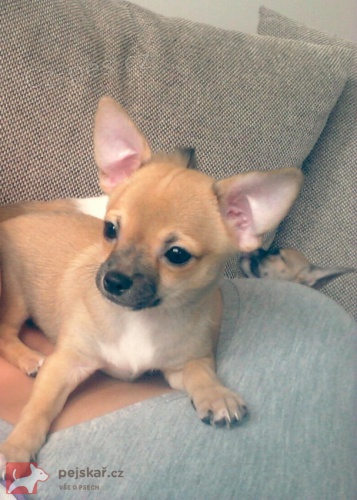 Prod�m �t�n�tka