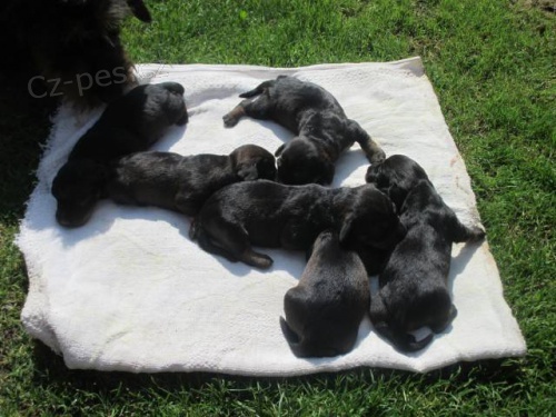 Prod�m �t��ata