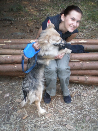 Ven�en� pejsk� �st� nad Orlic�