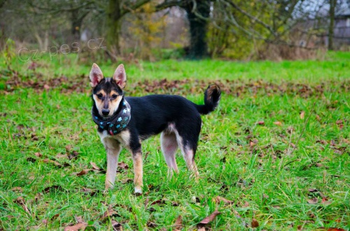 Calvin z do�asn� p��e ;)