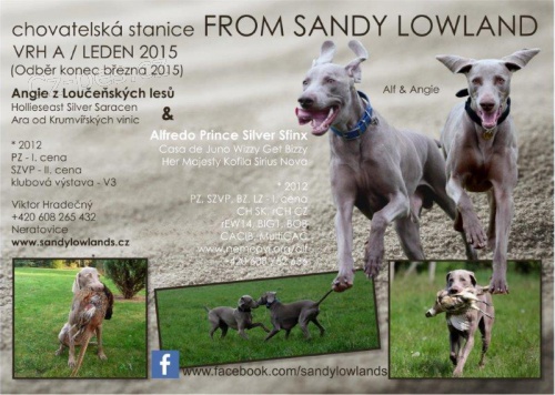 �t��ata s PP - V�marsk� oha�  