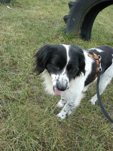 Nalezen k��enec st�edn� velikosti