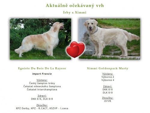 Rezervace a prodej �t���tek zlat�ch retr�vr�