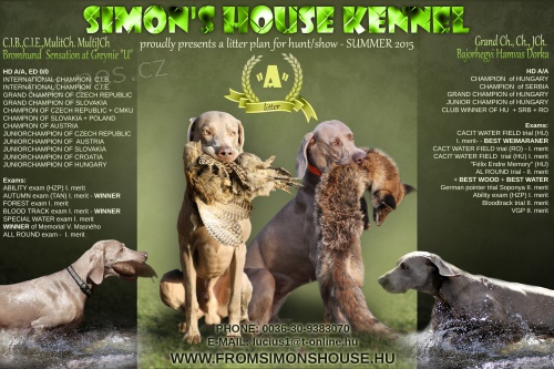 Posledn� voln� �t���tka VOK