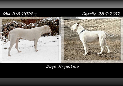 Rezervace �t���tek