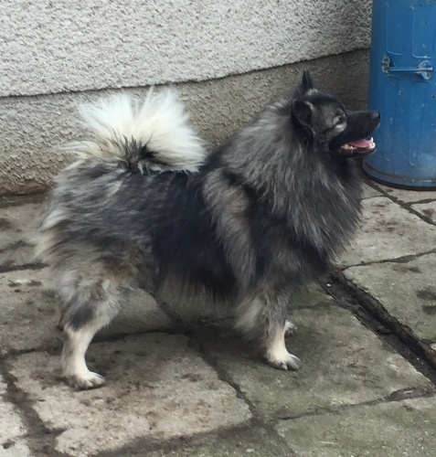 Hled�me vhodn� domov