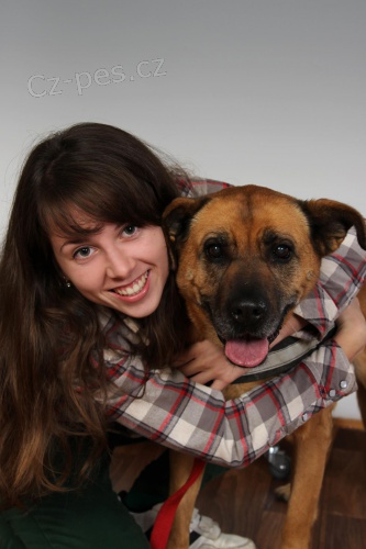 Starostlivos� o psa, ven�enie