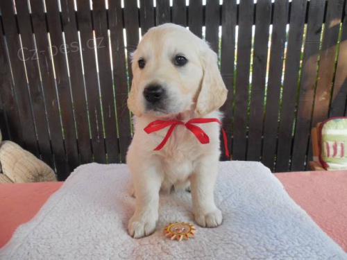 P�ij�m�me rezervace na �t���tka