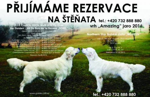 P�ij�m�me rezervace na �t��ata Zlat�ho retrievra