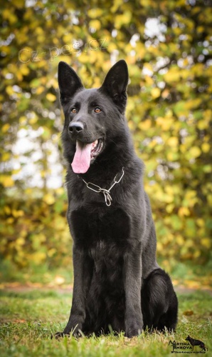 N�m.ov��k �t��ata