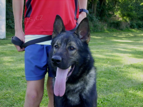 N�m.ov��k koup�m