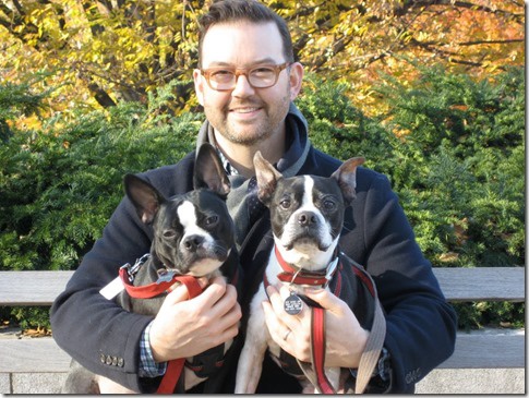 Nab�dka Bostonsk� teri�r �t��ata,