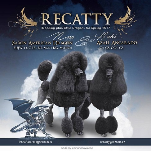 Pudl velk�, �ern� s PP