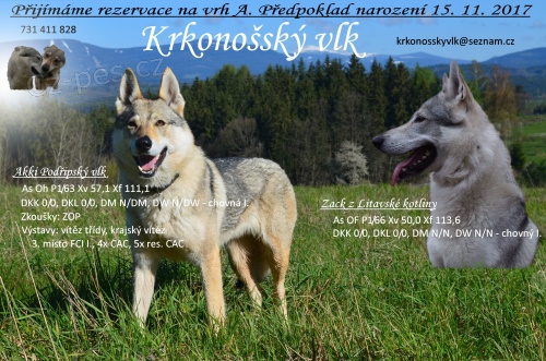 �eskoslovensk� vl��k