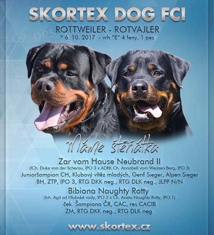 Rottweiler, RTW, Rotvajler �t��ata s PP