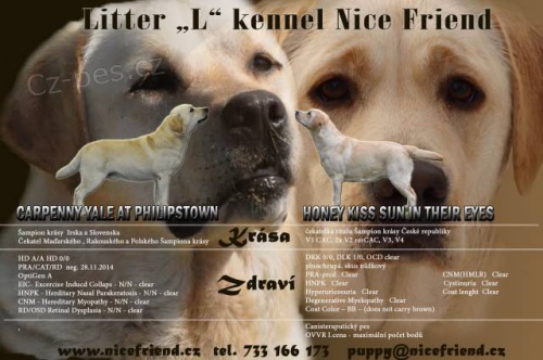 �t���tka labrador� a zlat�ch retr�vr�