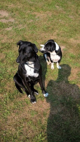 Prosime o pomoc pro osi�elou fenku