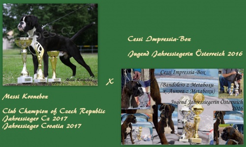 Chov. st.  Impressia - �t��ata s PP