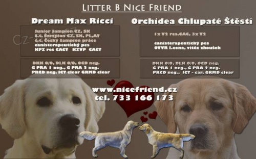 �t���tka zlat�ch retr�vr�