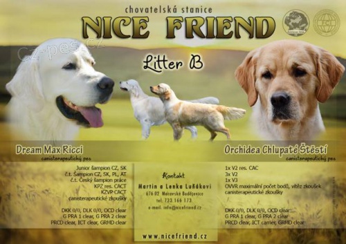 �t���tka zlat�ch retr�vr�