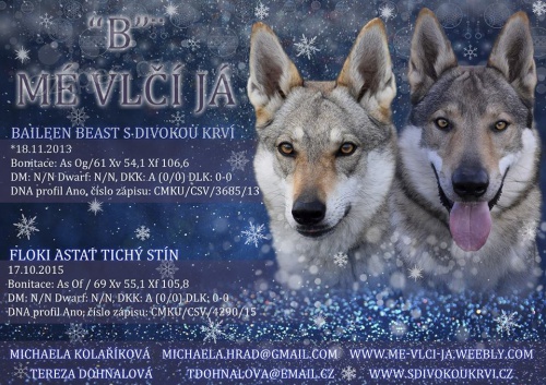 �ESKOSLOVENSK� VL��K S PP