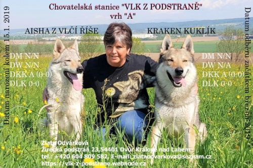 �SV Vlk z�podstr�n� vrh A