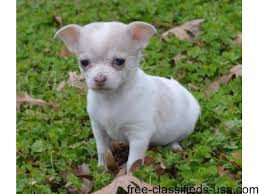 dv� dostupn� �t���tka �ivavy