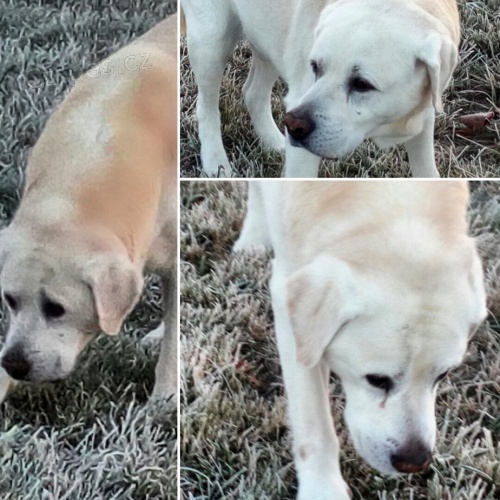 �t�n� na z���